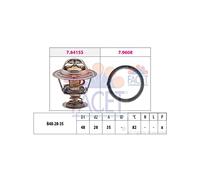 Facet 7.8415 Thermostat d'eau