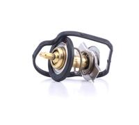 FACET 7.8590 Thermostat d'eau