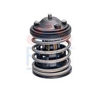 FACET 7.8762 Thermostat d'eau avec joint d'étanchéite sans connecteurs 87°C Compatible avec BMW 3 Berline E90 3 Touring E91 5 Berline E60 1 5 portes E87 X5 E70