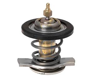 Facet 7.8805 Thermostat d'eau