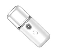 Facial Facial Nano Mini Poche USB Pocket Size Humidificateur de L'eau pour un Bacching Portable Portable (WHITE)