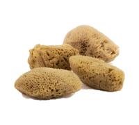 FacialCare Éponges de mer pour un gommage profond du visage Exfoliant, hypoallergénique, zéro déchet. Éponges de mer Méditerranée de qualité supérieure (emballage minimaliste, marron naturel)