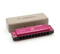Facile à Souffler Harmonica Rose en Titane 10 Trous e Do pour Débutant, Son Riche Réactif Armonica avec Boîte de Rangement, Instrument Musique pour Apprentissage Musiciens