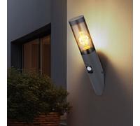 Fackelleuchte Applique Murale IP44 Détecteur de Mouvement Inox Couleurs Fumées