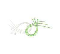FACKELMANN 12318 Lot de 6 ficelles Alimentaires réutilisables, ustensiles de Cuisine Silicone, Ficelle Cuisine Alimentaire, élastique Alimentaire, Ficelle Alimentaire, Ficelle à rôti, Silicone, 37 cm