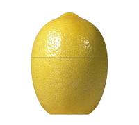 Fackelmann Boîte fraîcheur 47375 - Plastique jaune 22 x 8 x 7,5 cm