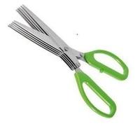 Fackelmann 48126 Ciseaux pour Herbes aromatiques, Ciseaux, Paire de Ciseaux, Ciseaux de Cuisine, Acier Inoxydable, Plastique, Vert, 19,5 cm