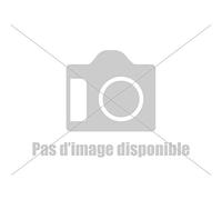 Facom 608.L12-Jeu de 5 lames pour scie sauteuse 150 mm 12 dents