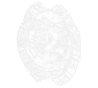 Façonneur de Fruits Transparent Blanc en Plastique pour Poires et Ginseng | Forme de Croissance, Usage Jardinier, Résistant au Soleil, Réutilisable, pour Verger Arrière et Culture