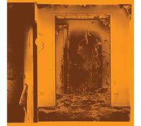 Facs - Present Tense ['Cheeto Mist' Colored Vinyl] [Import]