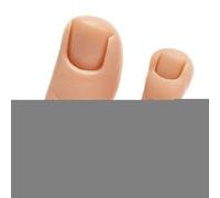 Factice En Caoutchouc - Prototype D'instruction De Griffe Élastique, Échantillons De Phalanges Simulés Souples, Avancement Des Talents En Podologie À Poids Élevé, Exposition De Structure D'extrémité P