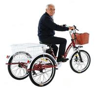 factildfulzhan Vélo électrique Adulte Type Tricycle | Idéal pour déplacements en Ville, Courses et Loisirs | Conçu pour Adultes et Personnes âgées | 3 Roues Stables, Grand Panier avec Couvercle