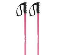 Faction Skis Bâtons Lite