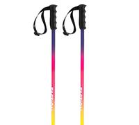 Faction Skis Bâtons Lite