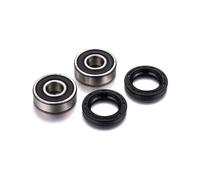Factory Links Fantic 50cc Rear Wheel Bearing Kit Argenté