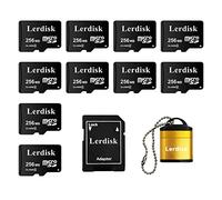 Factory Wholesale Lot de 10 cartes Micro SD 256 Mo (0,25 Go) en vrac faible capacité pour MP3/vieux téléphones/petits fichiers uniquement - pas pour appareils photo/caméras embarquées/appareils GB
