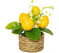 FACULX Citronnier artificiel, plante artificielle en plastique, compacte de 15 cm, décoration pour maison, bureau, étagère, fête de mariage (262989)