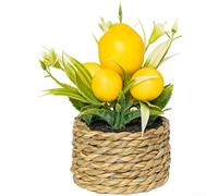 FACULX Citronnier artificiel, plante artificielle en plastique, compacte de 15 cm, décoration pour maison, bureau, étagère, fête de mariage (262988)