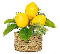 FACULX Citronnier artificiel, plante synthétique en plastique réaliste, décoration compacte de 15 cm pour maison, bureau, étagère, fête de mariage (262990)