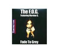 Fade To Grey (Reprise Du Groupe Visage)