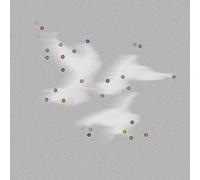 Godblesscomputers – Faded Views – Vinyle LP – Integral
