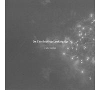 Fadi Tabbal - On the Rooftop Looking Up