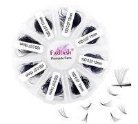 FADLASH 1000pcs Extension Cils Volume Russe Prefait 10D 0.07mm D Curl Mix 11-18mm Faux Cils Individuel Cluster Lashes en Soie Ventilateur aux Débutants Professionnels DIY