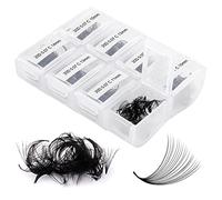 FADLASH 600pcs Extension Cils Volume Russe Prefait 20D 0.07mm C Curl Mix 8-15mm Faux Cils Individuel Cluster Lashes en Soie Ventilateur aux Débutants Professionnels DIY