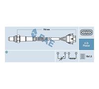 FAE 2-77308 Sonde