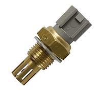 FAE Capteur de température d'air d'admission FAE 33236 Système d'injection