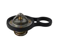 FAE 5303291 Thermostat d'eau