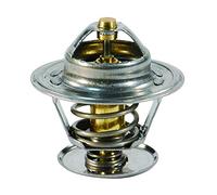 FAE Thermostat d'eau 5307087