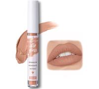 FAFAMOON Single Stick Non-Stick Cup Matte Mist Velvety Lip Gloss,Fafamoon Long Lasting Lip Gloss,Lip Glaze,Fafamoon Lip Gloss,Velvet Matte Liquid Lipstick Lipgloss Makeup (04#)