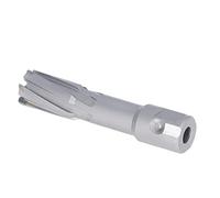 Fafeicy Foret de Coupe de Cycle Métrique de 50 Mm pour Plaque D'acier, Outil Industriel de Diamètre Rapide pour le Traitement des Métaux (19 mm)