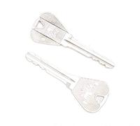 Fafeicy Jeu de Magie avec clé dans Une Bouteille, Coffret avec Trois Clés Pliantes en Métal, Accessoire de Magie Professionnelle de 7,7 Cm pour Spectacles sur Scène et Fêtes