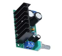 Fafeicy Module Amplificateur, Carte Amplificateur de Puissance Mono, Puissance de Sortie 5-120 W pour Appareils Audio, Usage Domestique et Professionnel