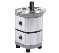 Fafeicy Pompe à Engrenages Hydraulique Double Effet, Fonte | Capacité de Deux Sections 25 Mpa 4000r/min, Remplacement Compatible PGP51063G3LP, Montage Direct, Aucune Modification