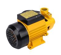 Fafeicy Pompe Centrifuge électrique, Pompe à Eau Périphérique de Levage 650 W 40 L/min 35 M avec Sortie D'entrée NPT de 1 Pouce pour la Pressurisation Domestique D'irrigation