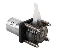 Fafeicy Pompe Péristaltique à Haut Débit 300 Ml/Min DC Pompe de Dosage Liquide à Moteur brossé pour le Laboratoire Aquarium Abs en Acier Inoxydable en Acier Inoxydable (24V)