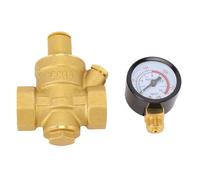 Fafeicy Réducteur de Pression, Contrôle Précis de la Pression de L'eau, Régulateur D'eau en Laiton Léger avec Jauge de Filetage DN20 3/4" et Filtre pour Plombier à Usage Domestique