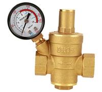 Fafeicy Régulateur de Pression D'eau Réglable en Laiton avec Compteur de Jauge pour équipement D'eau du Robinet DN15