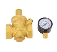 Fafeicy Soupape de Réduction de Pression de 1 Pouce, Soupape de Commande de Pression D'eau en Laiton de Type Piston avec Jauge et Filtre pour Usage Résidentiel et Industriel