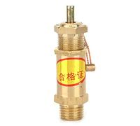 Fafeicy Soupape de Surpression G1/4, Soupape de Surpression Automatique pour Compresseurs d'air, Générateurs de Vapeur et Chaudières électriques