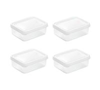 Fafeims Boîte de Conservation de la Viande Congelée, Conteneur de Stockage Durable pour Organisateur de Congélateur pour les Gourmets du Réfrigérateur de Cuisine, 4 Pièces
