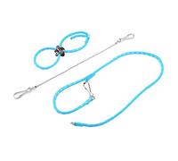Fafeims Harnais de Furet, Laisse en Nylon Réglable pour Dressage d'animaux de Compagnie avec Cloche pour Hamster, Rat, écureuil, Gerbille, Bande de Harnais pour Petits Animaux (Blue)