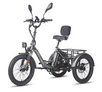 FAFREES F20 Mate Triporteur Électrique - Moteur 500W Batterie 48V23.45AH Siège Dossier Freins Hydrauliques - Gris