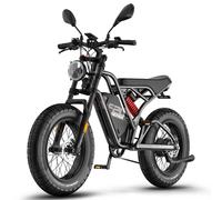 Fafrees F20 Ultra Amélioré Vélo Électrique - Moteur 750w Batterie 48v25ah Pneus 20 Pouces Freins Mécaniques - Noir
