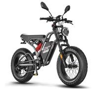 Fafrees F20 Ultra Vélo électrique montagne 48 V 25 Ah batterie 20 x 5,0"" pneus larges 79 Nm Fat bike avec Shimano 7 vitesses Gris
