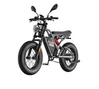 FAFREES F20 Ultra Vélo Électrique - Moteur 750W Batterie 48V25AH Freins Hydrauliques - Gris
