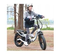 FAFREES F20 X Max vélo électrique 750W 30Ah 200KM Vitesse maximale par défaut : 25 km/h BLANC